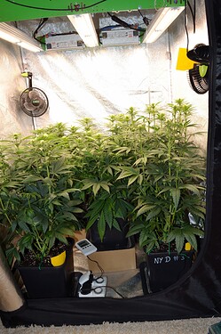 Growreport Bild 10