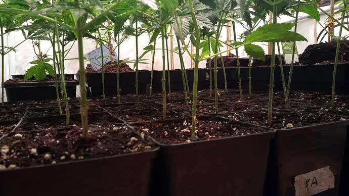 Growreport Bild 11