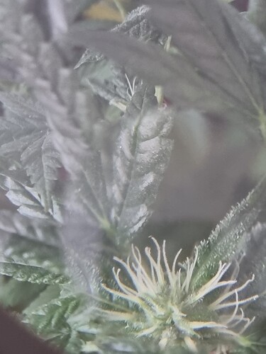 Growreport Bild 2