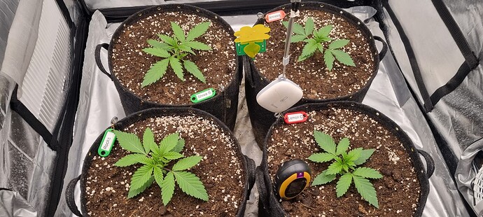 Growreport Bild 18