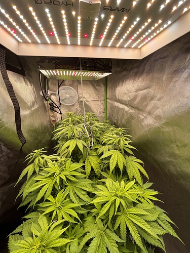 Growreport Bild 4