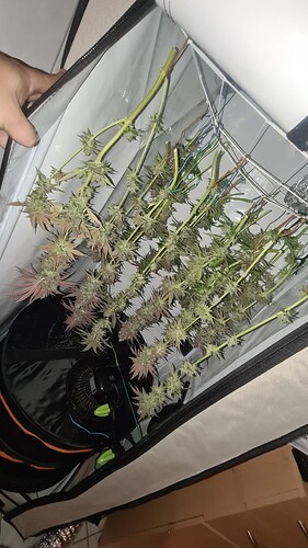 Growreport Bild 26
