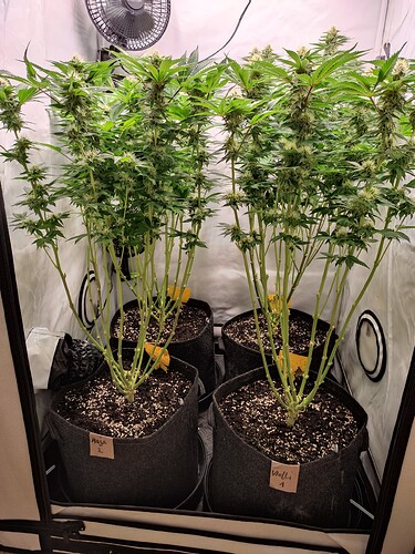 Growreport Bild 2