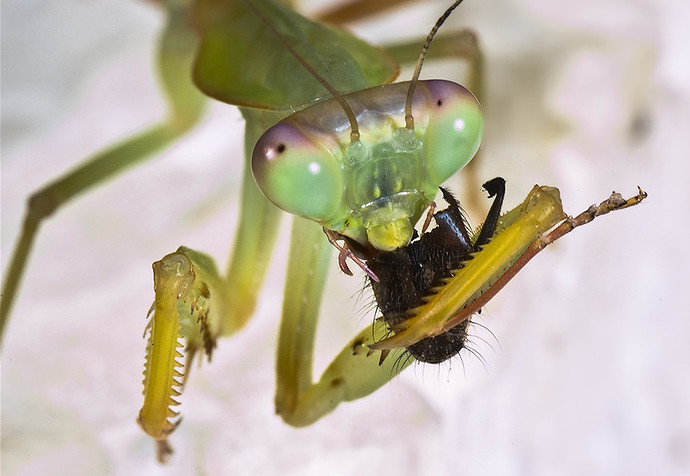 2021-06-20 10.14.15 img.fotocommunity.com 8d27e8f1fa3b