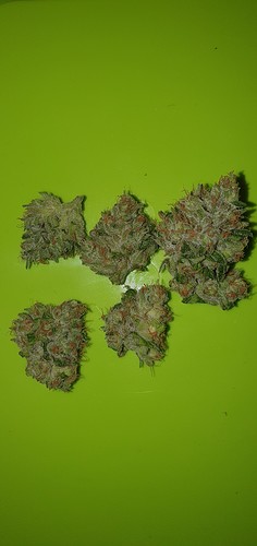 Growreport Bild 14