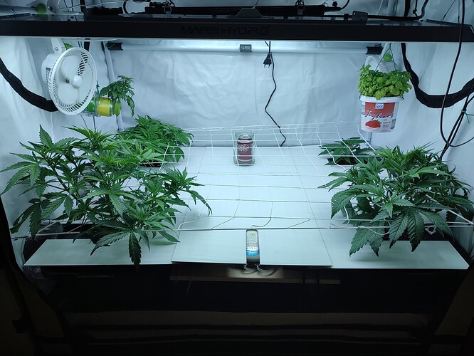 Growreport Bild 13