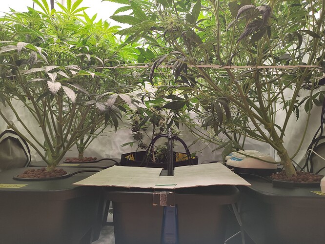 IMG_20231017_212356 - Kopie