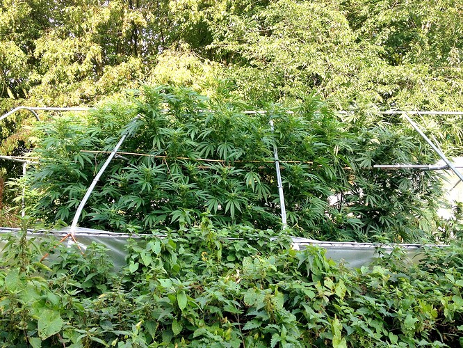 Growreport Bild 14