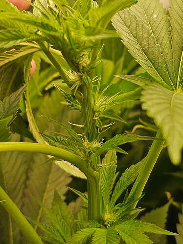 Growreport Bild 23