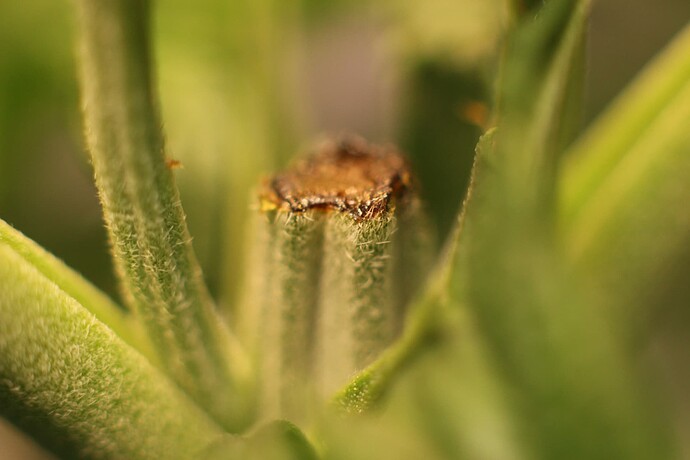 Growreport Bild 5