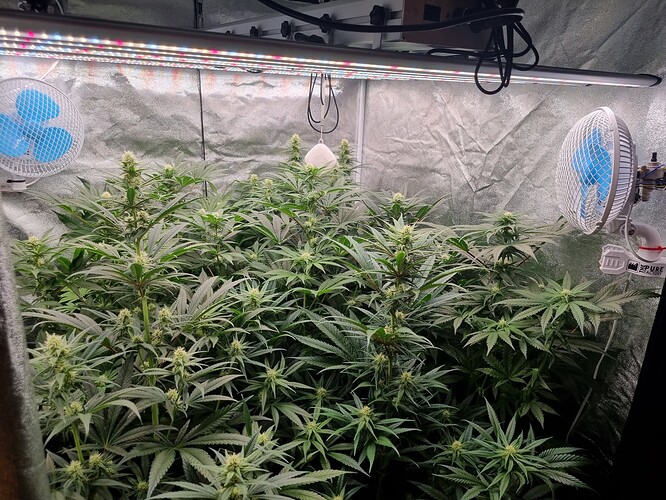 Growreport Bild 10
