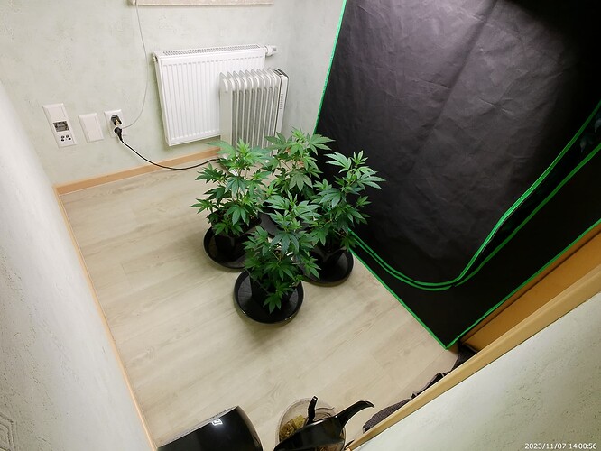Growreport Bild 3