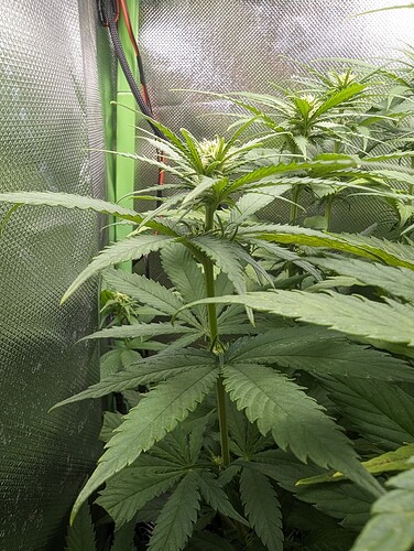 Growreport Bild 8