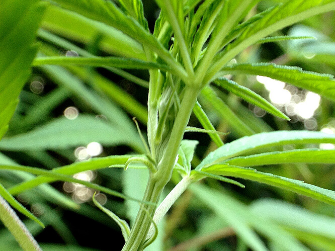 Growreport Bild 9