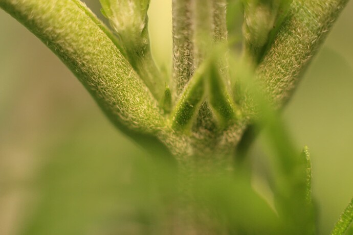 Growreport Bild 27