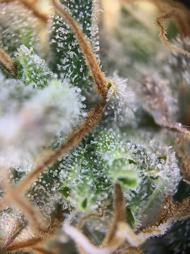 Growreport Bild 11