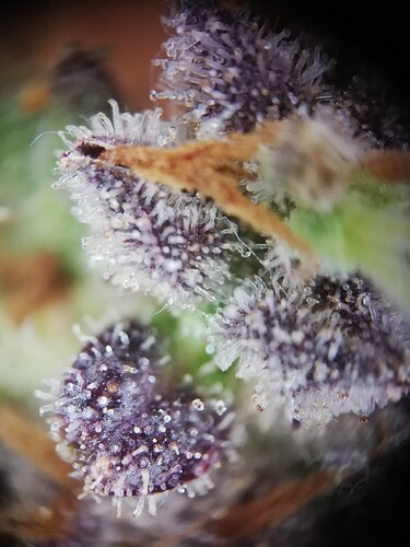 GG#1_240122-5