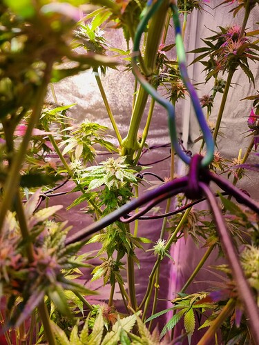 Growreport Bild 24