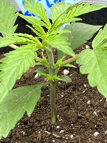 Growreport Bild 10