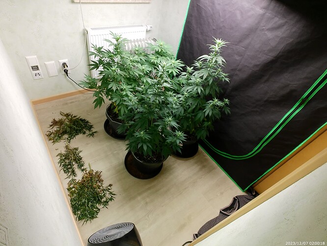 Growreport Bild 20