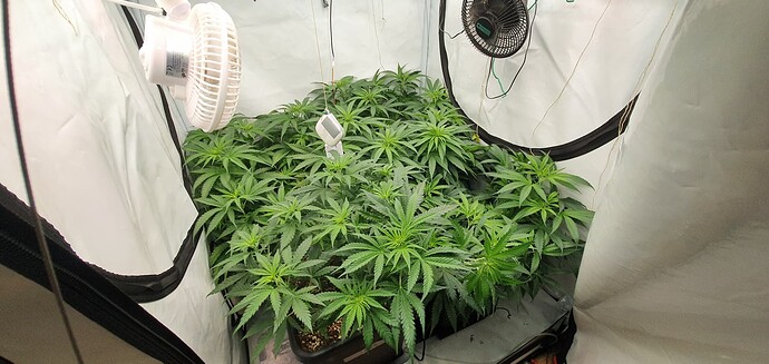 Growreport Bild 7
