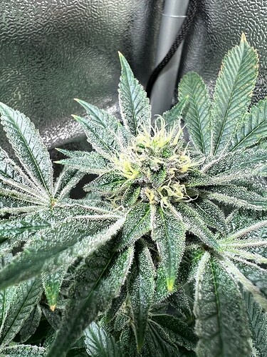 Growreport Bild 12