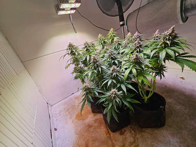 Growreport Bild 13