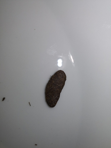 Growreport Bild 13