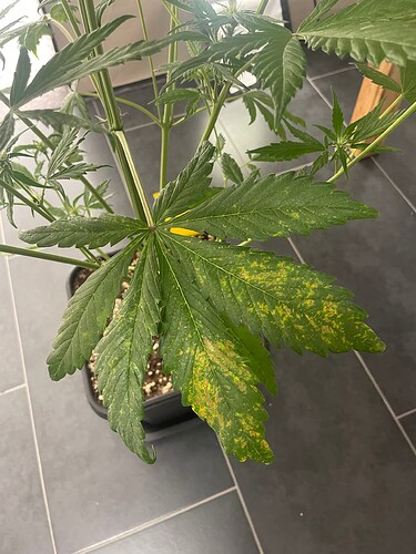 Growreport Bild 15