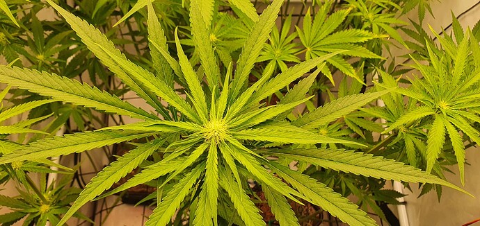 Growreport Bild 8