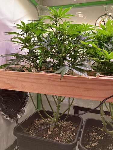 Growreport Bild 9
