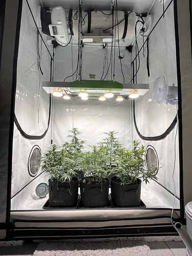 Growreport Bild 30