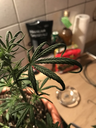 Growreport Bild 10