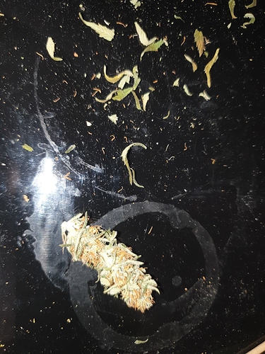 Growreport Bild 1