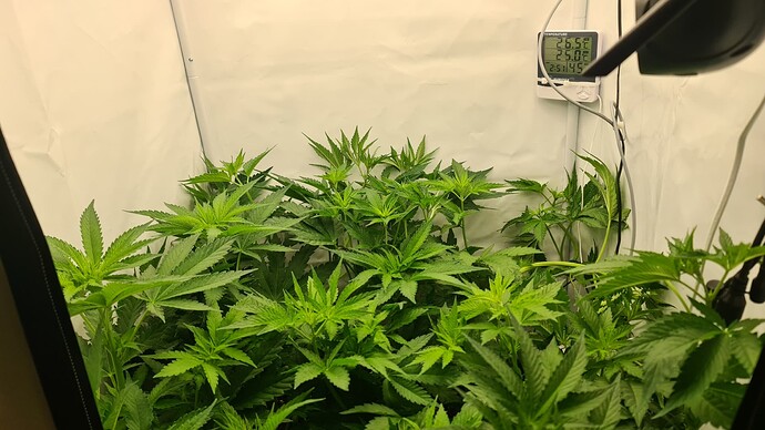 Growreport Bild 6