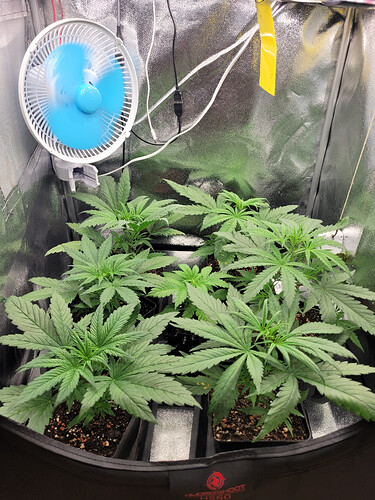 Growreport Bild 10