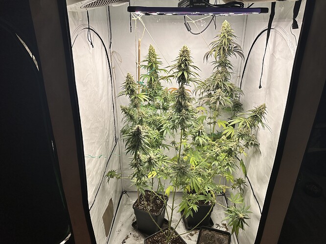 Growreport Bild 26