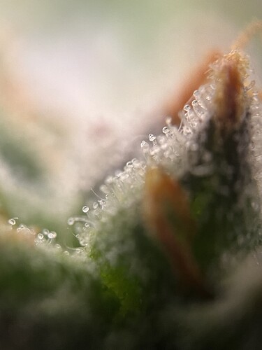 Growreport Bild 11