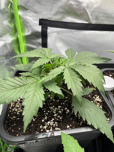 Growreport Bild 14