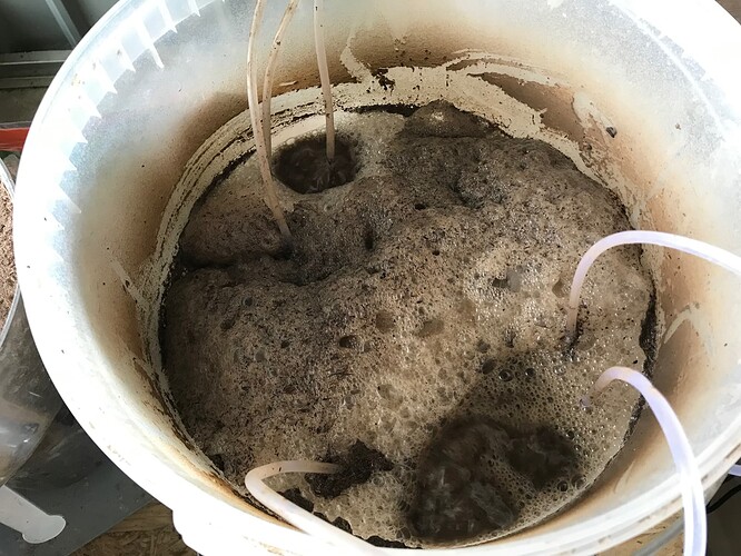 schaumschaumschaum - 1