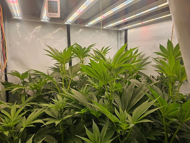 Growreport Bild 21