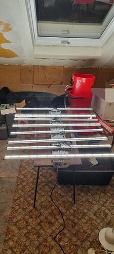 20230113_183550