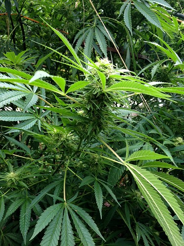 Growreport Bild 11