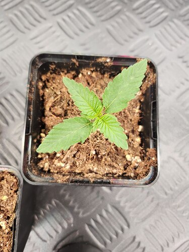 photo_2023-08-06_22-48-42