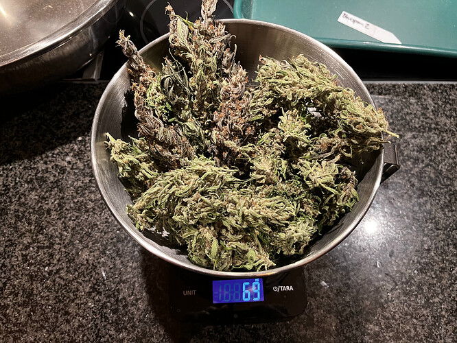 Growreport Bild 2
