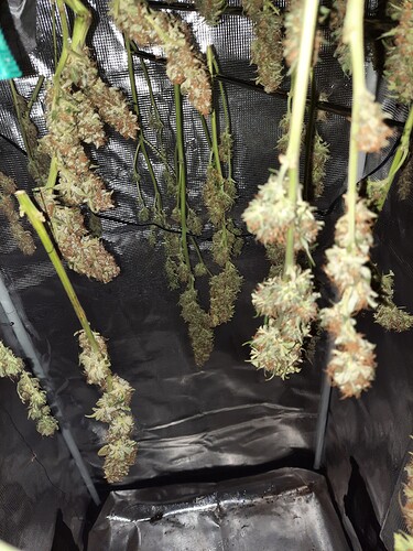 Growreport Bild 5