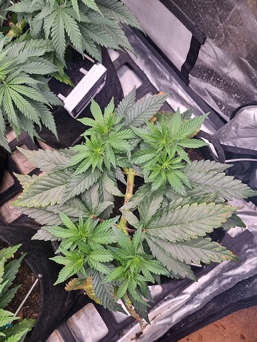 Growreport Bild 15