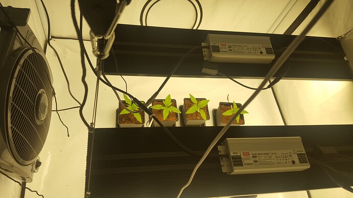 Growreport Bild 8
