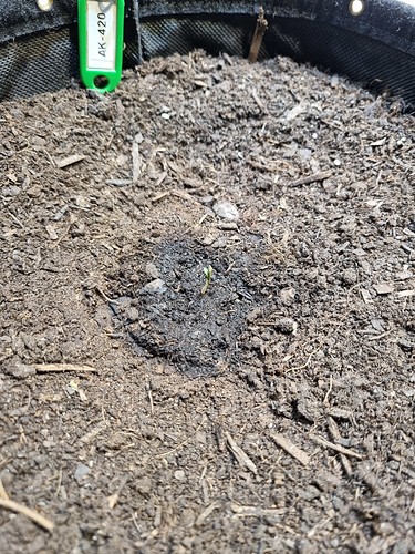 Growreport Bild 15