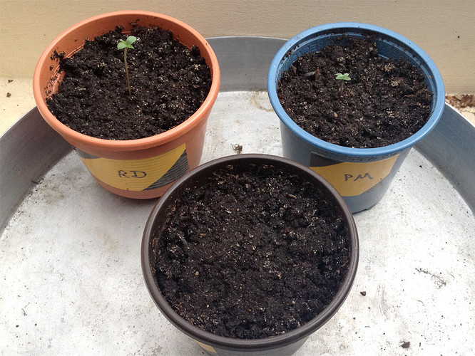 Growreport Bild 13